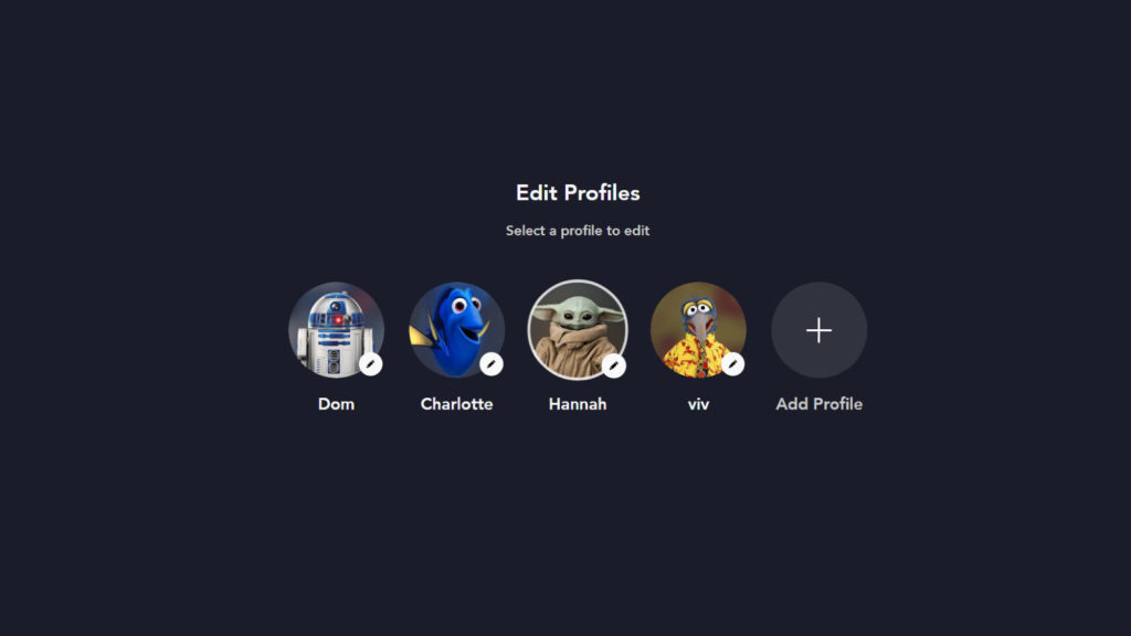 Multiple Profiles for each member of the family